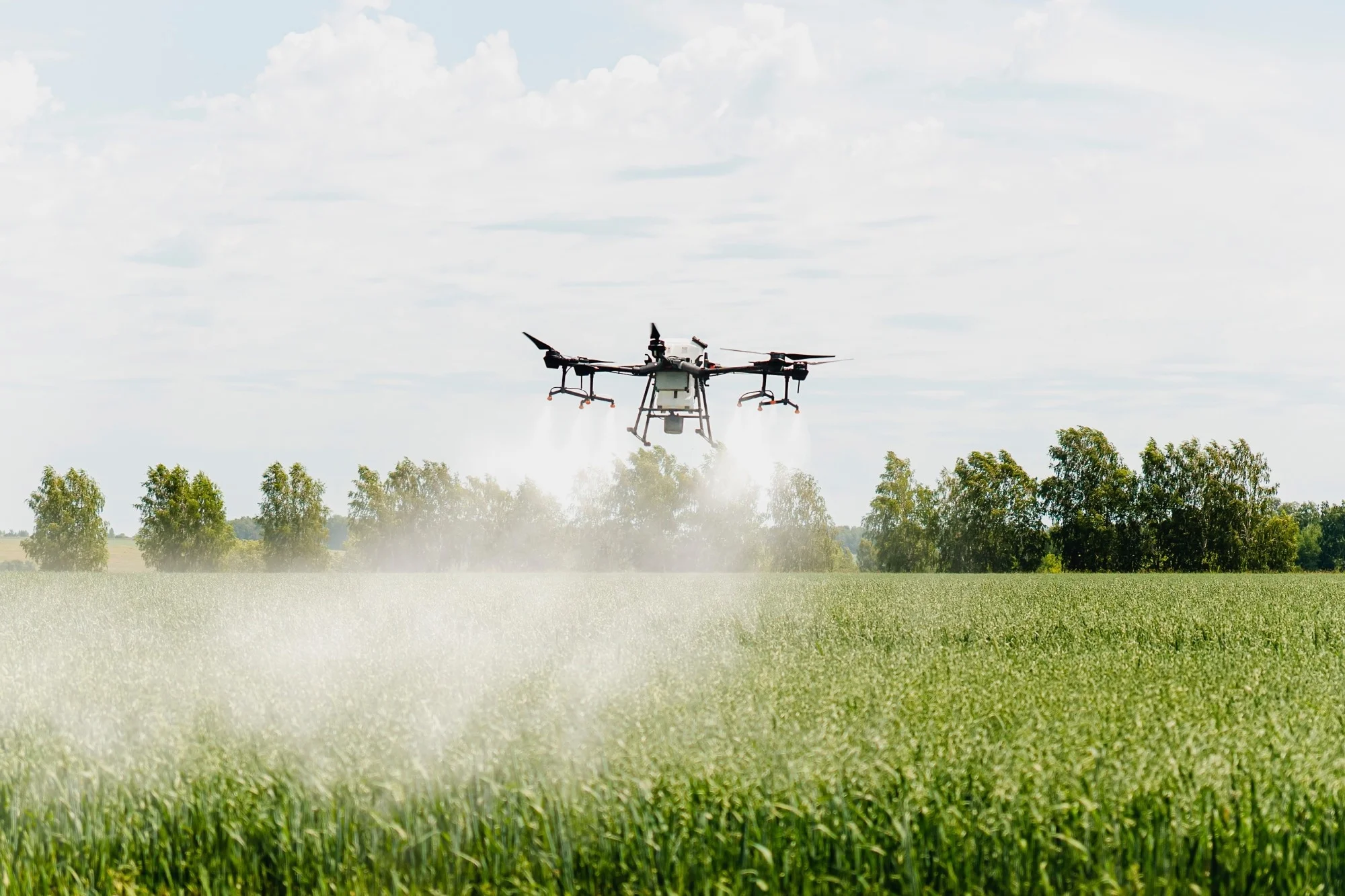Fertiliser and seed dispersion